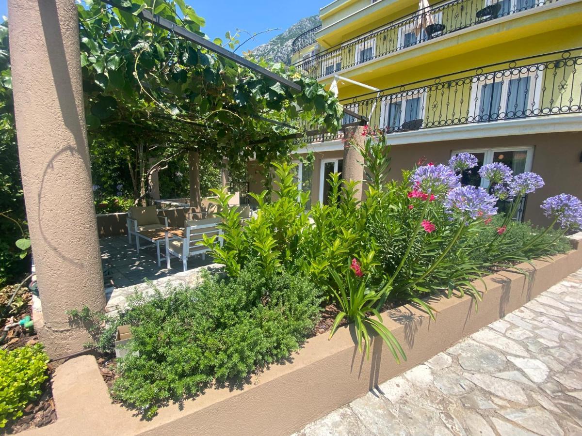 2Montenegro Mimoza Apartments Dobrota Dış mekan fotoğraf