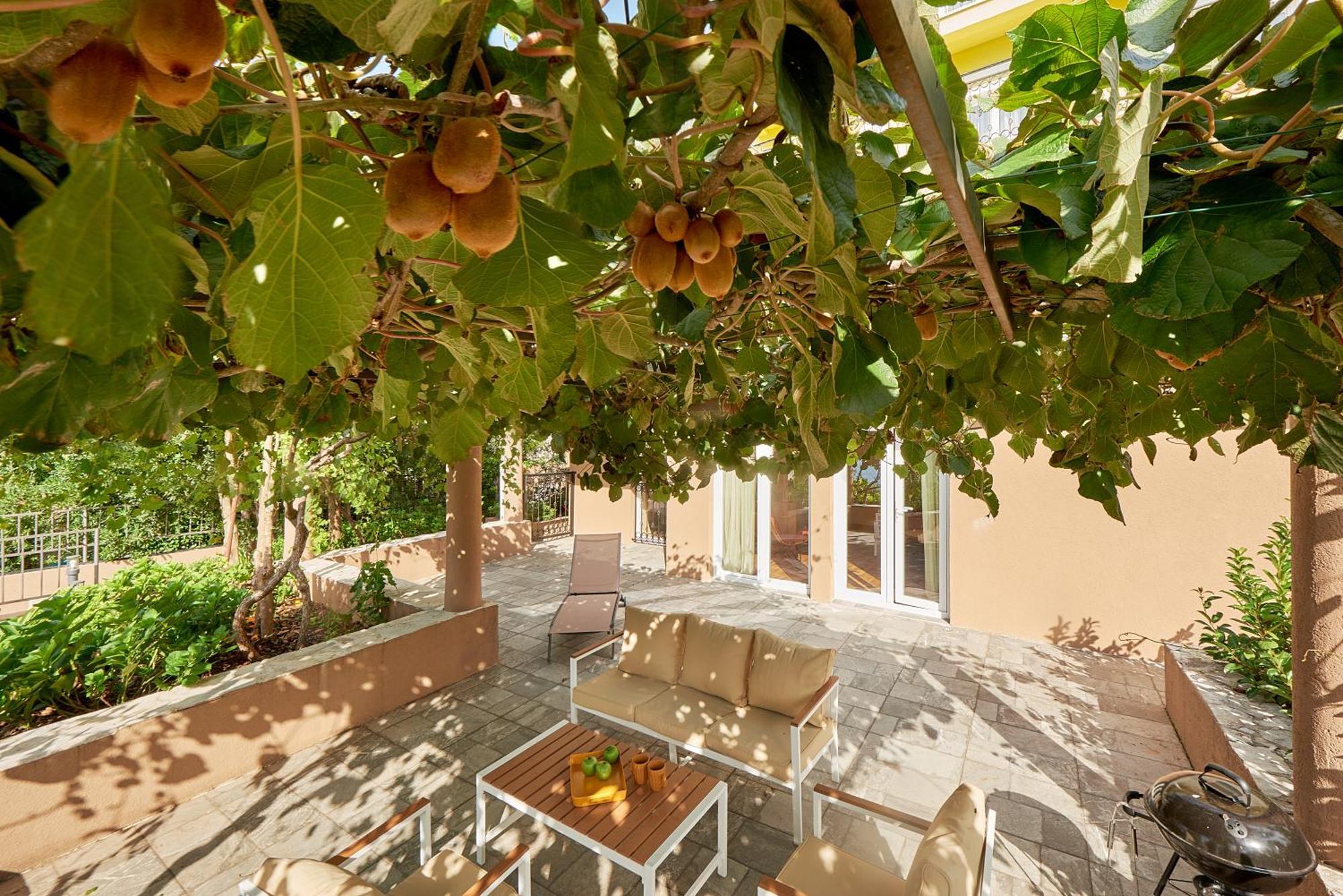 2Montenegro Mimoza Apartments Dobrota Dış mekan fotoğraf